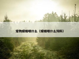 宠物蝾螈喂什么（蝾螈喂什么饲料）