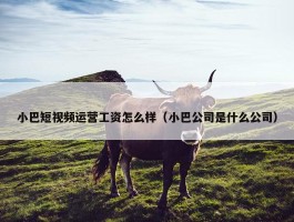 小巴短视频运营工资怎么样（小巴公司是什么公司）