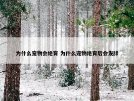 为什么宠物会绝育 为什么宠物绝育后会发胖