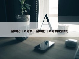 貂蝉配什么宠物（貂蝉配什么宠物比较好）