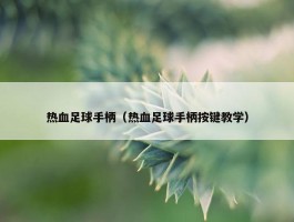 热血足球手柄（热血足球手柄按键教学）