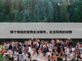 哪个等级的宠物无法喂养，无法饲养的动物