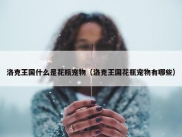 洛克王国什么是花瓶宠物（洛克王国花瓶宠物有哪些）