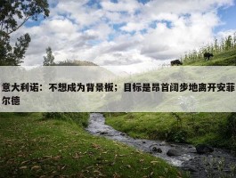 意大利诺：不想成为背景板；目标是昂首阔步地离开安菲尔德