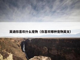 英语你喜欢什么宠物（你喜欢哪种宠物英文）