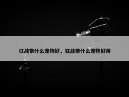 狂战带什么宠物好，狂战带什么宠物好用