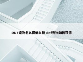 DNF宠物怎么得低血糖 dnf宠物如何获得