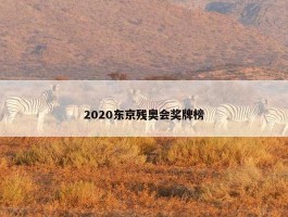 2020东京残奥会奖牌榜