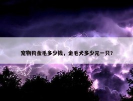 宠物狗金毛多少钱，金毛犬多少元一只?