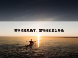 宠物技能几级学，宠物技能怎么升级