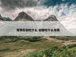 宠物花貂吃什么 貂都吃什么东西