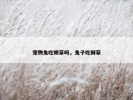 宠物兔吃嫩草吗，兔子吃鲜草