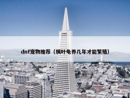 dnf宠物推荐（枫叶龟养几年才能繁殖）