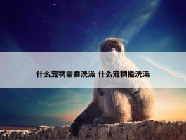 什么宠物需要洗澡 什么宠物能洗澡