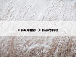 红狐足球推荐（红狐游戏平台）