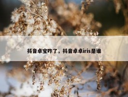 抖音卓宝咋了，抖音卓卓iris是谁