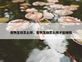 宠物互动怎么样，宠物互动怎么样才能赚钱