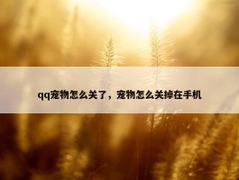 qq宠物怎么关了，宠物怎么关掉在手机