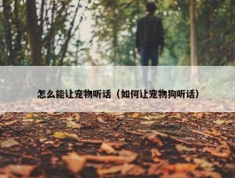 怎么能让宠物听话（如何让宠物狗听话）