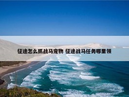 征途怎么抓战马宠物 征途战马任务哪里领