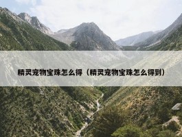 精灵宠物宝珠怎么得（精灵宠物宝珠怎么得到）