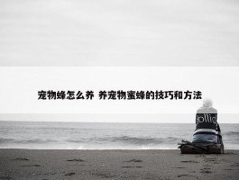 宠物蜂怎么养 养宠物蜜蜂的技巧和方法