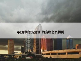 qq宠物怎么复活 的宠物怎么得到