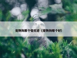 宠物狗那个受欢迎（宠物狗哪个好）