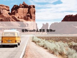 宠物rua什么意思 宠物vr