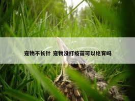 宠物不长针 宠物没打疫苗可以绝育吗