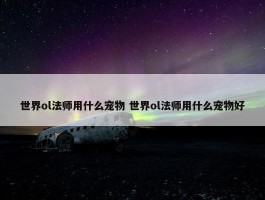 世界ol法师用什么宠物 世界ol法师用什么宠物好