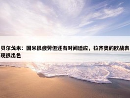 贝尔戈米：国米很疲劳但还有时间适应，拉齐奥的欧战表现很出色