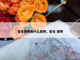 宝石宠物有什么宠物，宝石 宠物