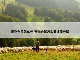 宠物仓鼠怎么养 宠物仓鼠怎么养才能养活