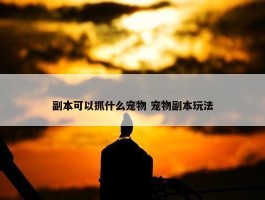 副本可以抓什么宠物 宠物副本玩法