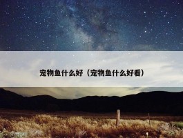 宠物鱼什么好（宠物鱼什么好看）