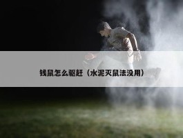 钱鼠怎么驱赶（水泥灭鼠法没用）