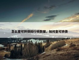 怎么查可转债排行榜数据，如何查可转债