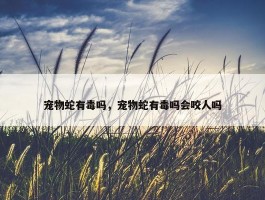 宠物蛇有毒吗，宠物蛇有毒吗会咬人吗