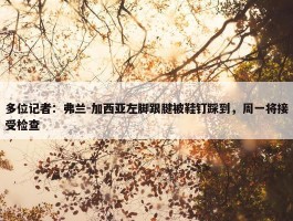 多位记者：弗兰-加西亚左脚跟腱被鞋钉踩到，周一将接受检查