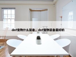 dnf宠物什么装备，dnf宠物装备最好的