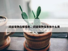 问道宠物在哪变色，问道宠物变色有什么用