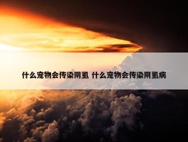 什么宠物会传染阴虱 什么宠物会传染阴虱病