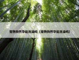 宠物狗怀孕能洗澡吗（宠物狗怀孕能洗澡吗）