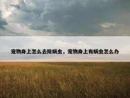 宠物身上怎么去除螨虫，宠物身上有螨虫怎么办