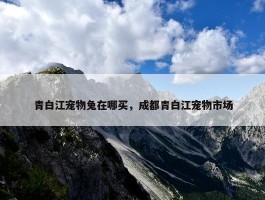 青白江宠物兔在哪买，成都青白江宠物市场