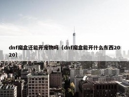 dnf魔盒还能开宠物吗（dnf魔盒能开什么东西2020）