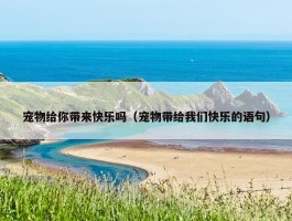 宠物给你带来快乐吗（宠物带给我们快乐的语句）