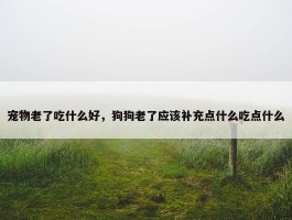 宠物老了吃什么好，狗狗老了应该补充点什么吃点什么