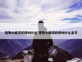 宠物小精灵的球叫什么 宠物小精灵的球叫什么名字